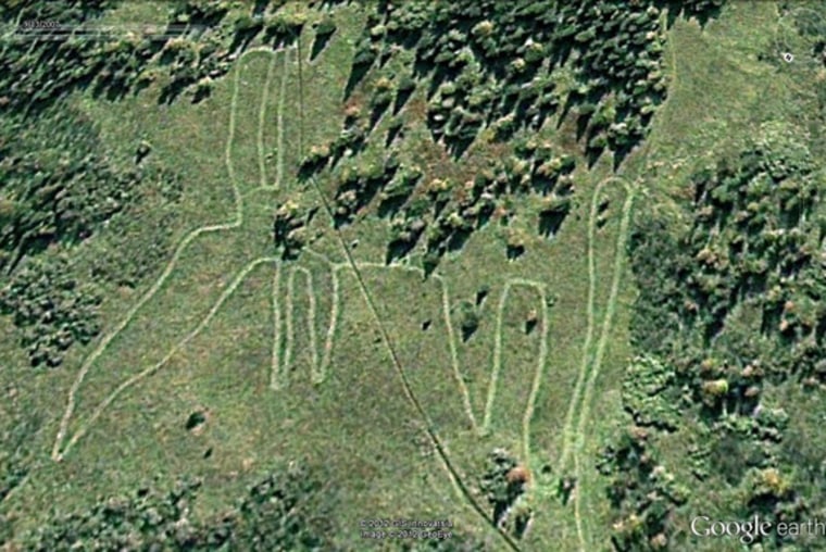 A historical Google Earth image from 2007, in this image it looks like the animal might have a tail. Image copyright 2012 Geoeye, copyright 2012 GIS Innovatsia, courtesy Google Earth. 