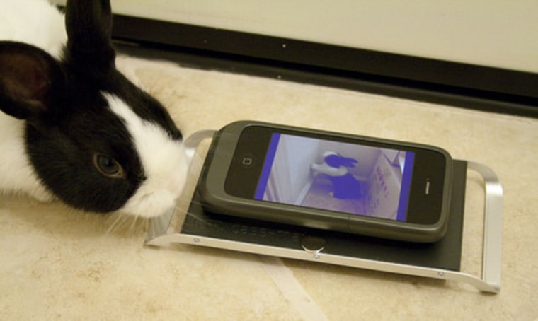The Case-mate Hug wireless iPhone charger in action — as seen by a bunny. 