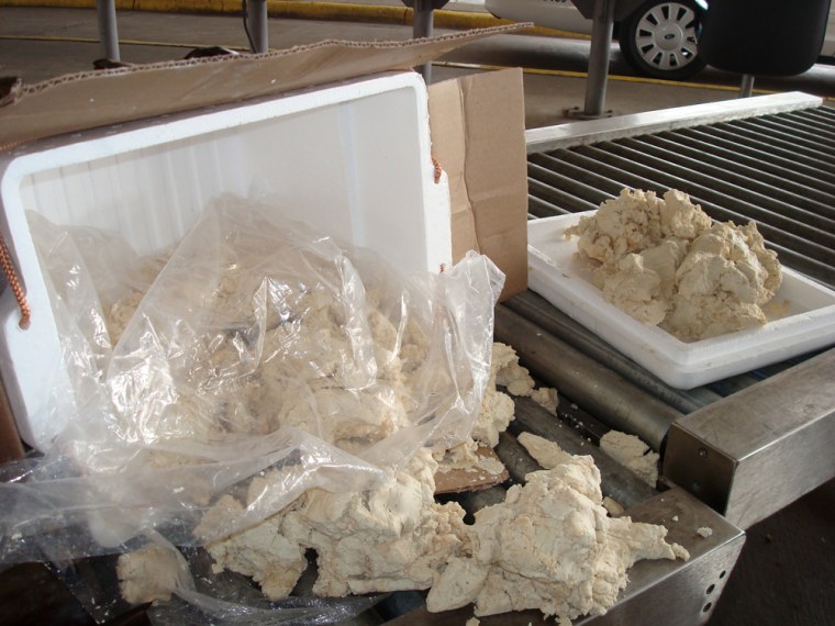While doing a security sweep at the Lincoln-Juarez International Bridge, U.S. Customs and Border Protection officers found 58 pounds of alleged iguana meat in two ice chests. The meat had been mixed with masa, a dough made of cornmeal, and was apparently being turned into tamales. 