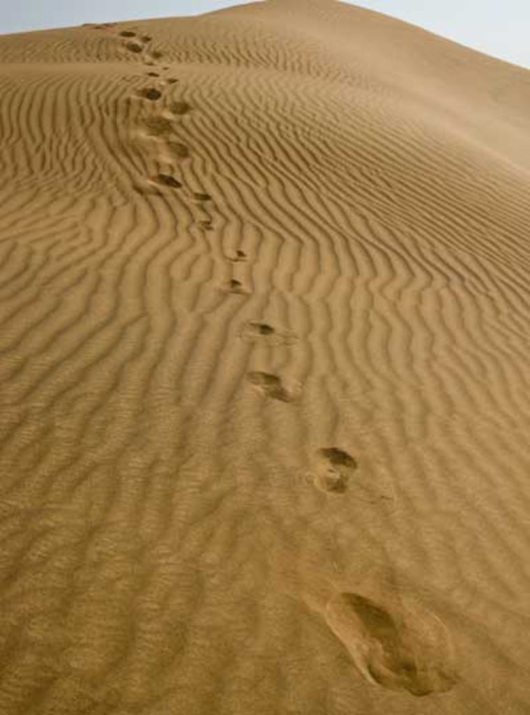 Image: Footprints in sand