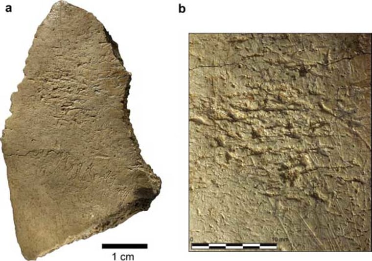The skull fragment of human bone (a) with a close-up view (b) of the area used for retouching stone tools. 