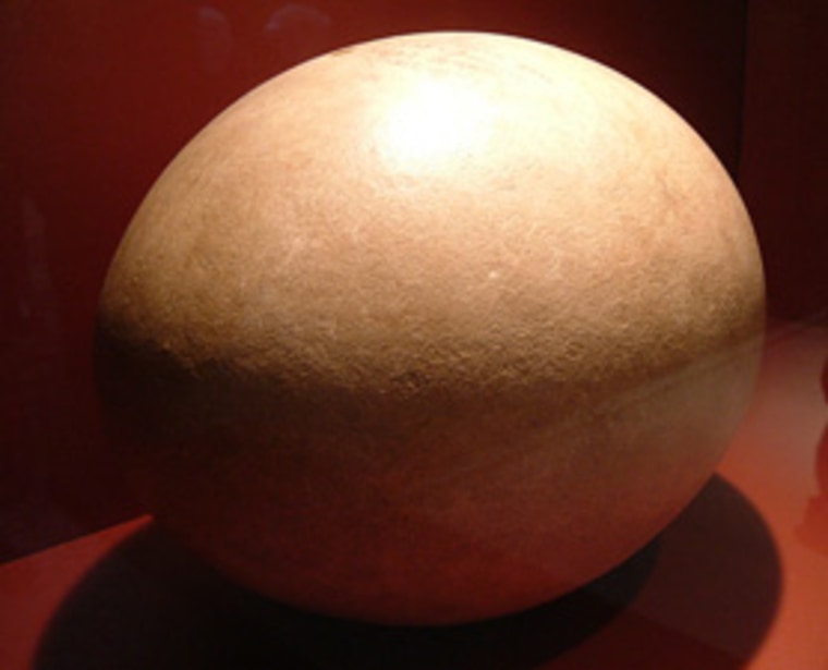 DNA samples from the eggshells of extinct birds, like this elephant bird egg, could provide valuable insight into the evolutionary histories of a number of animal species.