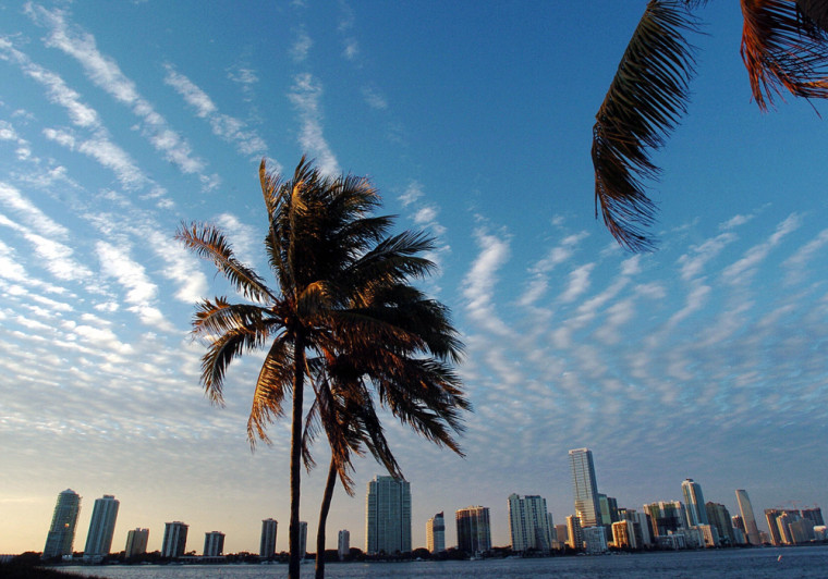 Image: The skyline of Miami, Florida