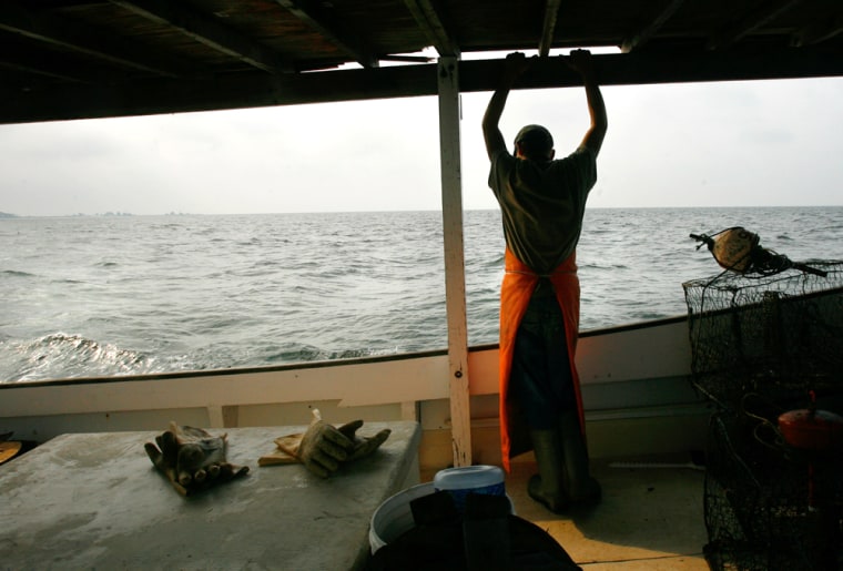 Image: crabbing on the Chesapeake Bay