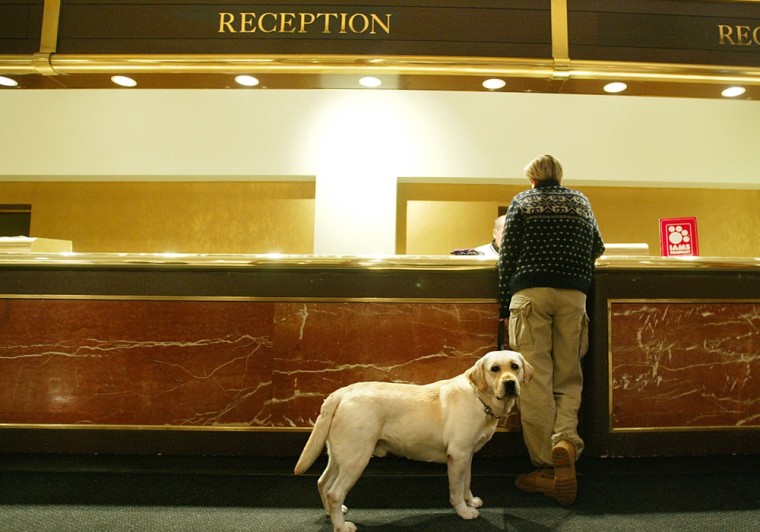 Increasingly, hotels, inns and resorts are adopting pet-friendlier policies to attract pet-loving guests. Patrons, however, don't always pack good behavior or common sense.