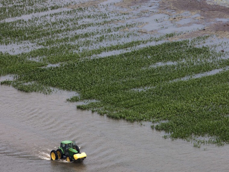 Image: A farmer drives his tractor past a flooded field of corn near Yazoo City, Miss. on Saturday.