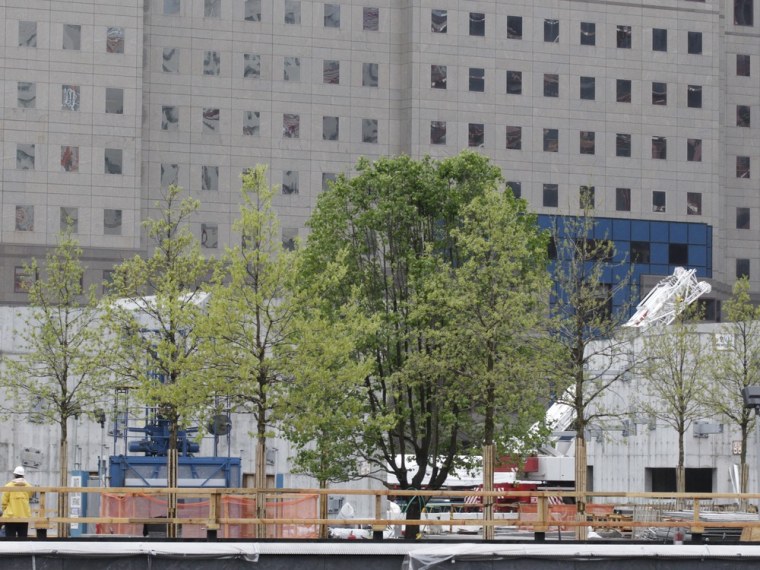 Image: Workers prepare the area near the survivor tree' at the World Trade Center site in New York ( ? Test Copyright )