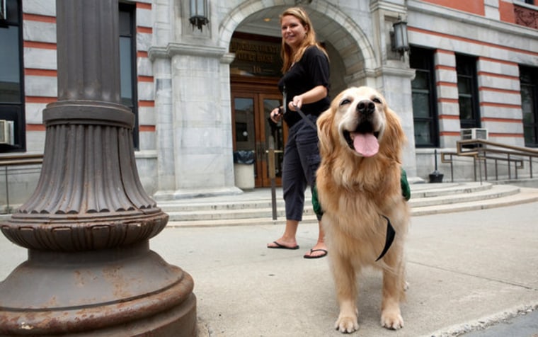 Rosie, a dog that accompanies children as they testify in court, with Lori Stella, a social worker, outside the Dutchess County Courthouse in Poughkeepsie, N.Y. 