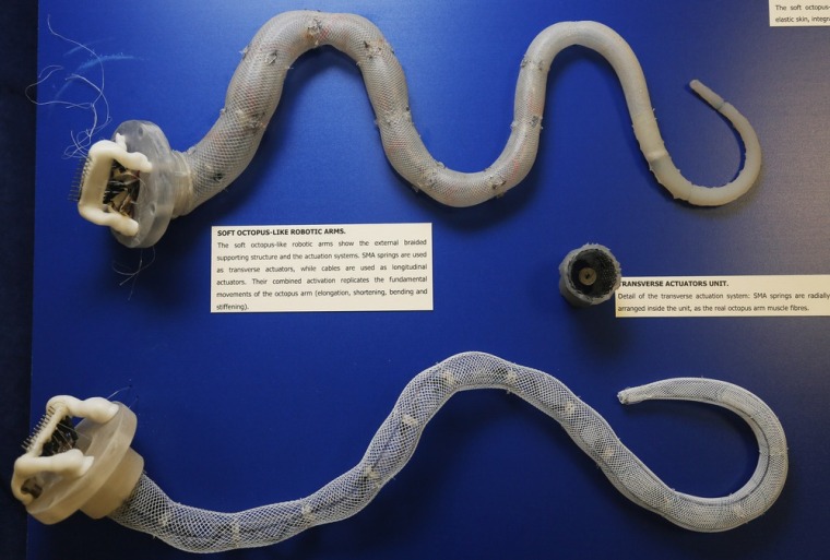 Robots that slither, crawl, walk, fly — and rock