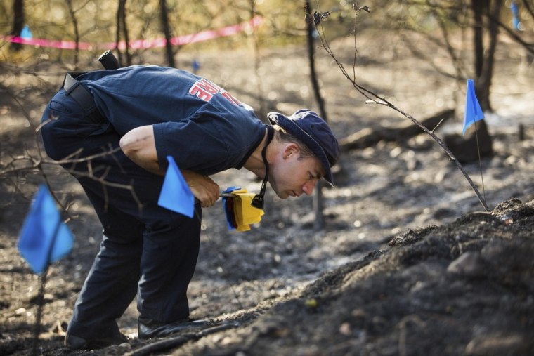 Image: CAL FIRE Captain Jeremy Ward investigates the cause of the so-called Clover Fire in Happy Valley, California