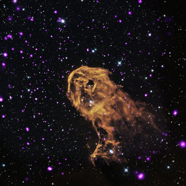 Image: NASA image of the Elephant Trunk Nebula