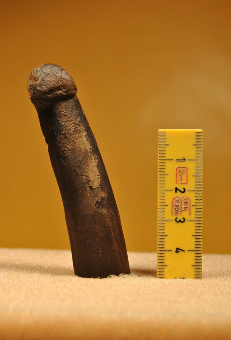 This bone carving from Stone Age Sweden could be an ancient dildo, scientists say. Then again, it might just be a carving tool.