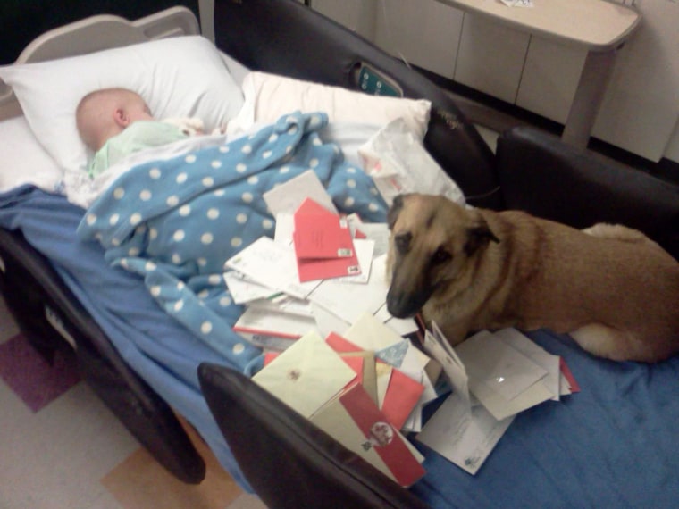 Image: Juno watches over Lucas during a recent trip to the hospital.