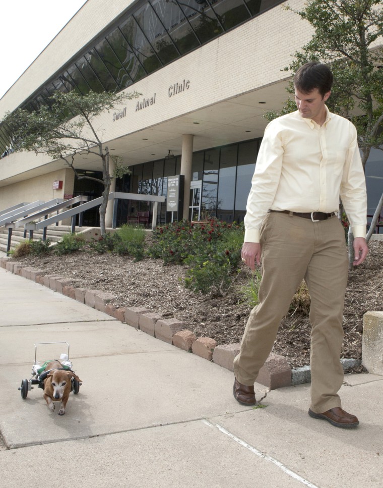 Image: Jay Griffin with his paralyzed dog, Beanie