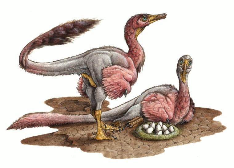 An artist's reconstruction of the newly discovered, and newly named, theropod dinosaur Bonapartenykus ultimus.