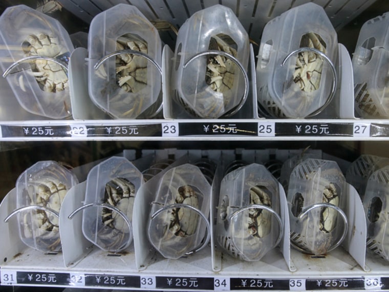Image: Live hairy crabs are displayed in a vending machine at a main subway station in Nanjing, Jiangsu province