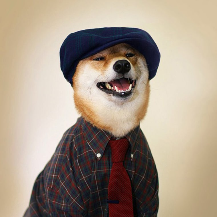 Check Yourself #mensweardog #menswear #dog #checks @stetsonusa @thetiebarFollow
Aug. 20, 2013