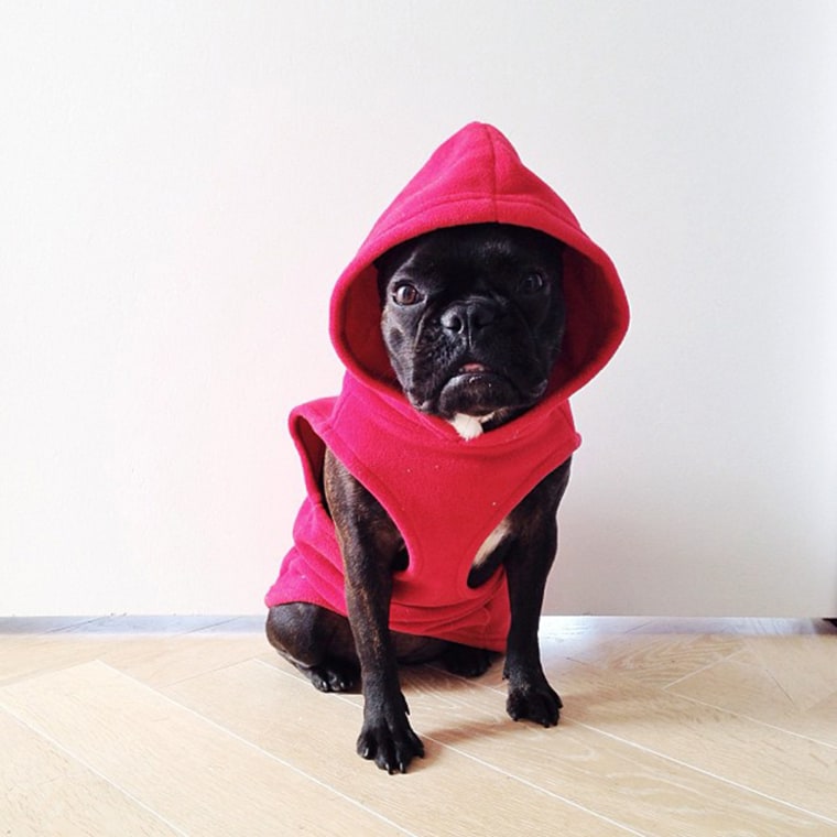 It's been getting colder. Found this old sweater in a bag from LA.Follow
Oct. 30, 2013
http://instagram.com/dearbeta