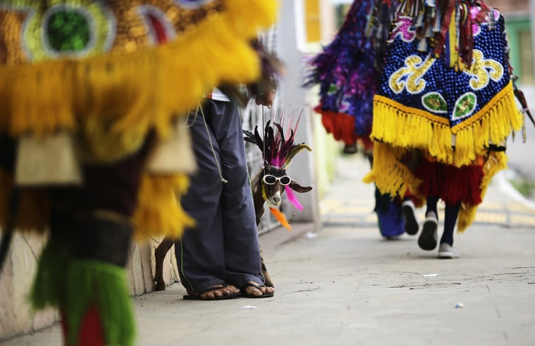 Image: A goat wearing sunglasses stands near revellers parading during traditional Maracatu carnival in Nazare da Mata
