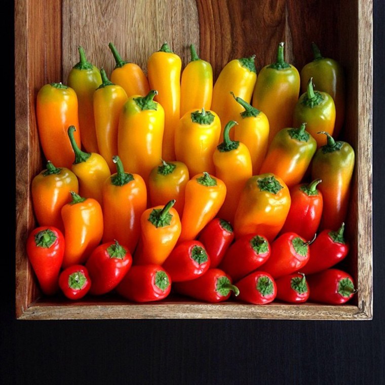 Sweet pepper gradients.