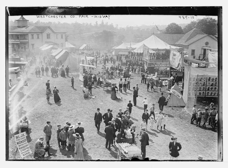 Westchester County Fair, crowd and booths, New York
