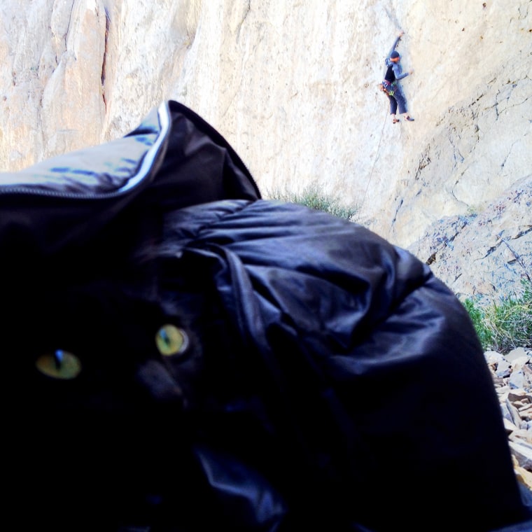 Climbing in Idaho. It was cold, and windy. Millie catching some rest under my puffy and getting out of the wind.