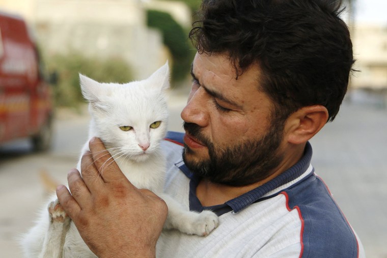 Image: Alaa, an ambulance driver, carries a cat in Masaken Hanano in Aleppo