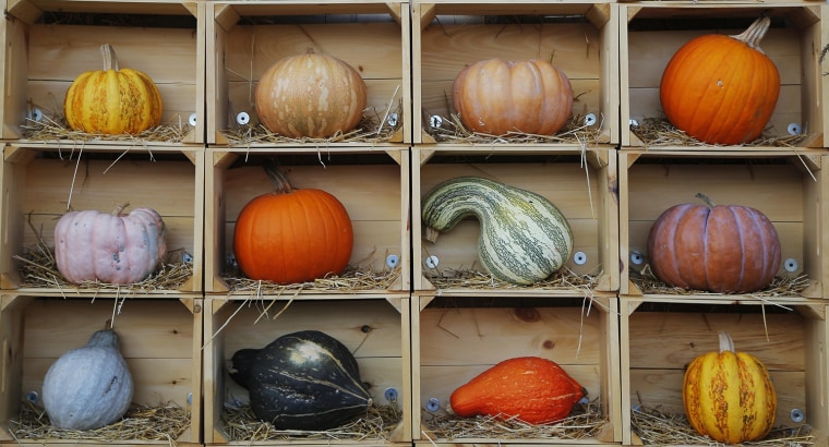 Image: Pumpkins and gourds of various colors and sizes are displayed on a wall at Wilson Farm in Lexington, Massachusetts