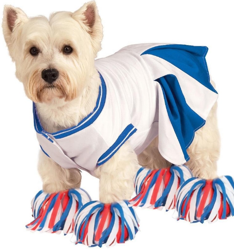 Rubies Cheerleader Pet Costume 

http://www.wag.com/dog/p/rubies-cheerleader-costume-106408

This blue and white cheerleader dress is for a spirited pooch. It also includes colorful paw pom-poms.
