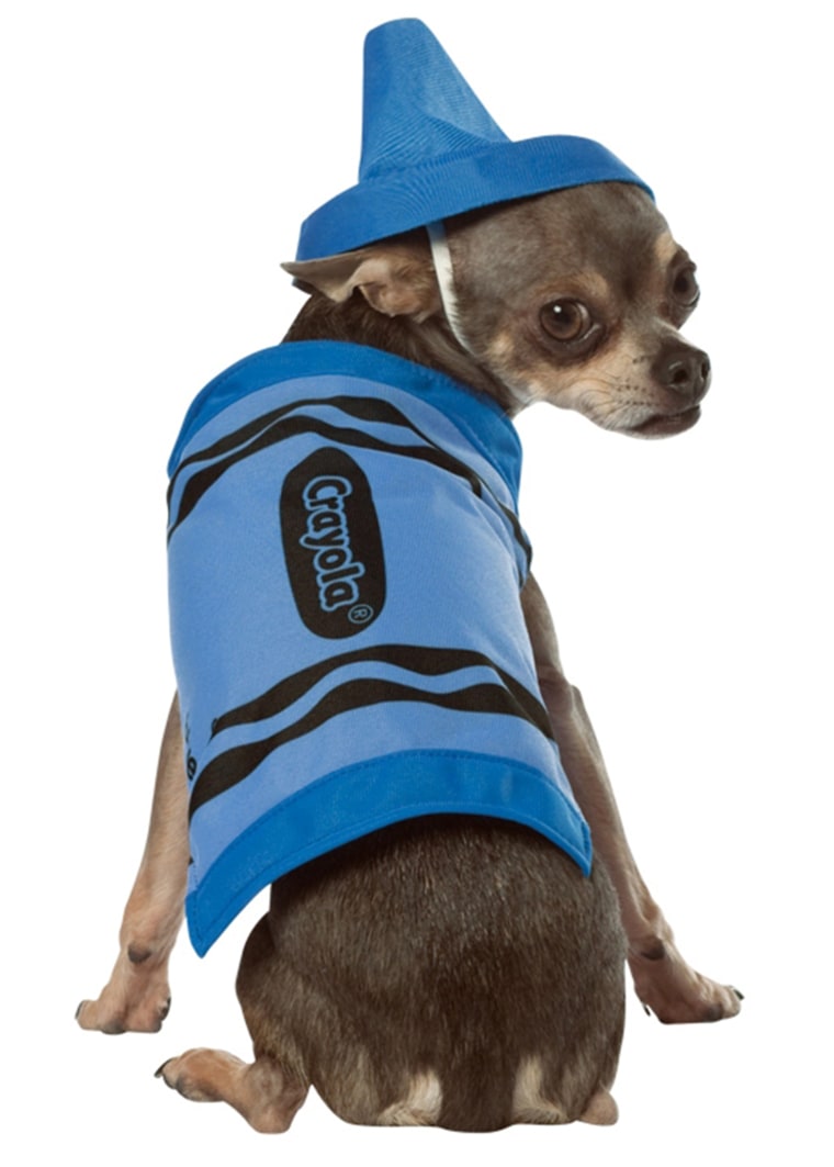 Crayola Dog Costume - Medium-XLarge

Color them cute in this adorable, easy to wear Crayola Crayon Halloween Costume.

http://www.barkerandmeowsky.com/product.asp?lt=d&amp;deptid=7295&amp;sec=dogs&amp;pfid=BAM03709
