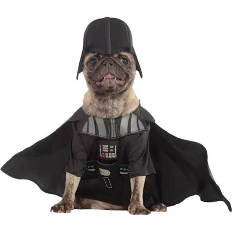 Darth Vader 
http://www.halloweencostumes.com/darth-vader-pet-costume.html

Does your pup have a dark side and acts like he rules over everything? Then let him become the ultimate Sith Lord with this Darth Vader pet costume. When your doggy wears this costume he'll feel the power of the force flow through him and become the true master of the galaxy.
100% polyester interlock knit &amp; satin fabrics; polyurethane foam
Black interlock shirt has foam Darth Vader suit armor and belt
Black satin cape fastens to shoulders w/ Velcro
Polyfoam Darth Vader dog helmet