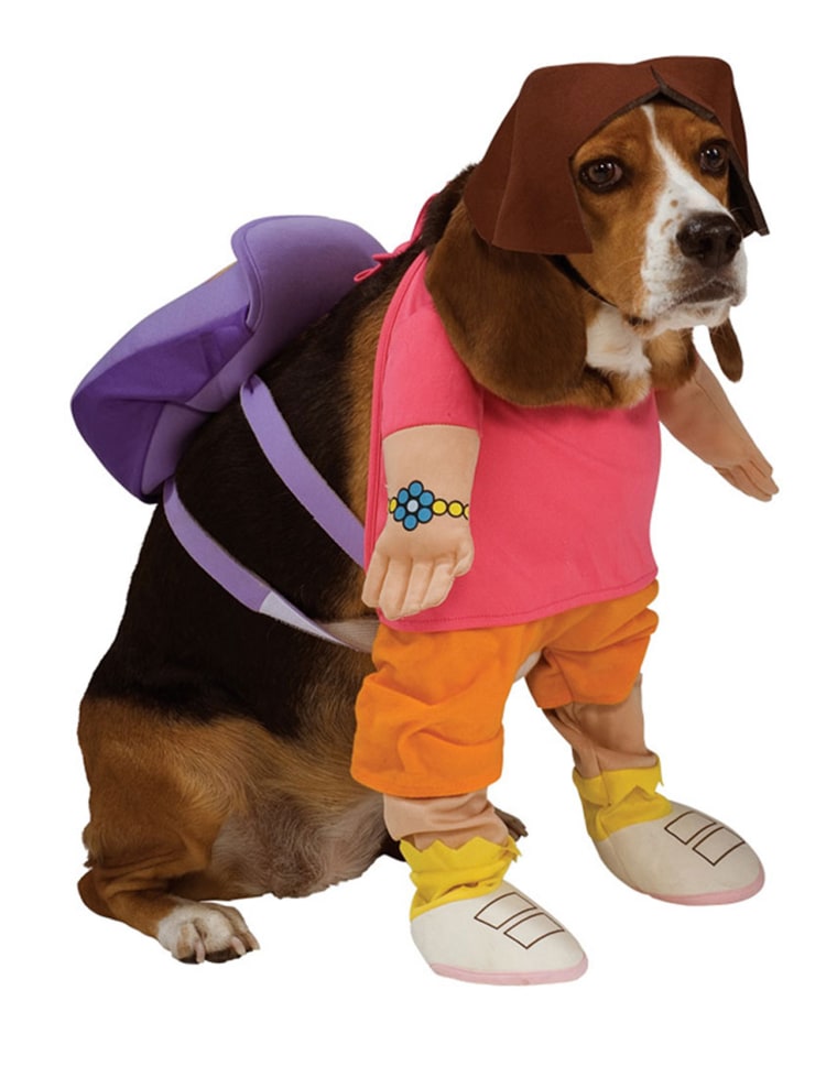 Dora the Explorer Dog Costume - 
http://www.costumecraze.com/DOG55.html