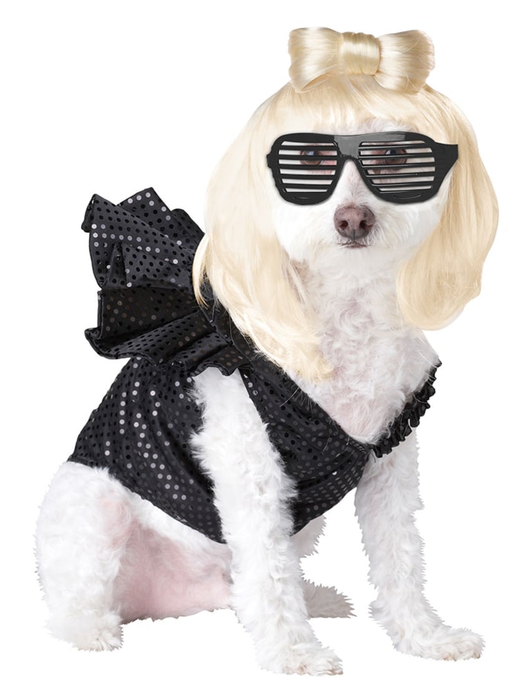 Pet Costumes - This Pop Sensation Dog Costume includes the blonde wig with bow, novelty glasses, and the costume with ruffle. Now even your dog can get into the Lady Gaga craze!

http://www.costumecraze.com/DOG135.html