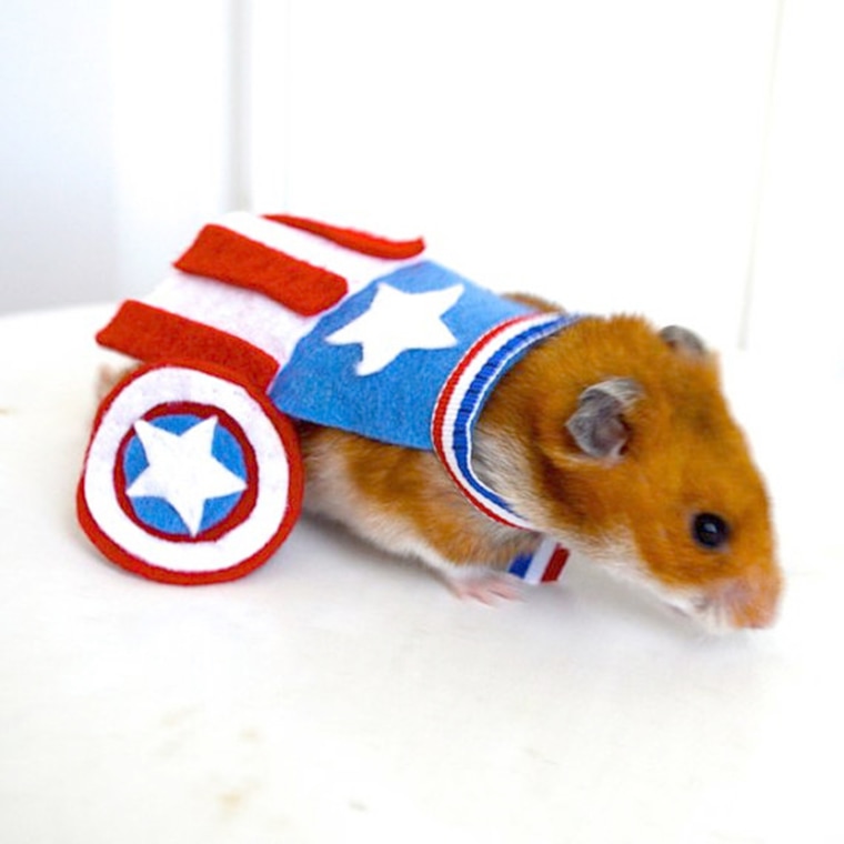 Avengers Captain America costume hamster / guinea pig / chinchilla / bunny rabbit. Pet Halloween costumes by Marmota CafÃ©.

https://www.etsy.com/listing/166402049/avengers-captain-america-costume-hamster
