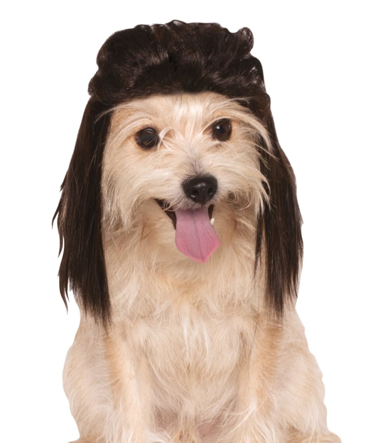 Mullet Pet Wig

http://www.amazon.com/Rubies-Costume-Company-Mullet-Medium/dp/B00JSMX83M/ref=sr_1_69?s=pet-supplies&amp;ie=UTF8&amp;qid=1412790791&amp;sr=1-69&amp;keywords=pet犋ⶺ