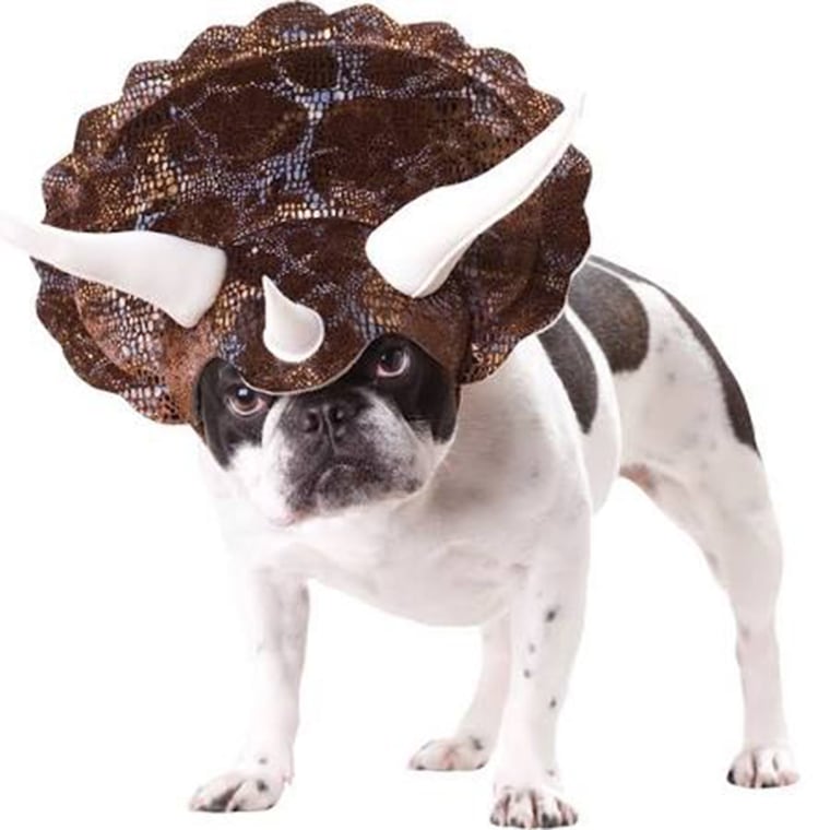 Animal Planet Triceratops Dog Costume

http://www.wag.com/dog/p/animal-planet-triceratops-588588

Animal Planet Triceratops Dog Costume Turn your pooch into a cretaceous canine with a Animal Planet Triceratops Dog Costume. This adorable doggie dinosaur costume comes with a horned dinosaur headpiece.
