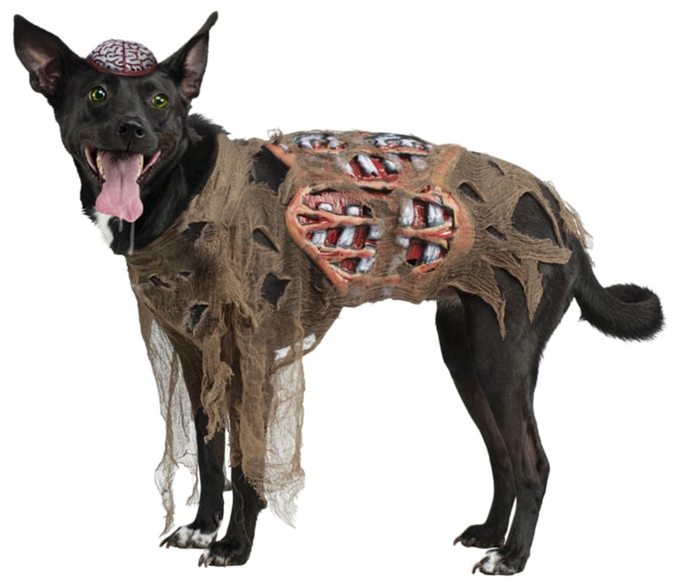 Zombie Pet Costume

http://www.trendyhalloween.com/Zombie-Pet-Costume-P19510.aspx#.VDVy7vl4rYg

Let your dog follow you out of the grave in this Zombie Pet Costume that is perfect for your 'me and my pet' Halloween costume. This zombie costume includes a gauze shirt, 3D EVA guts belt, and a brain cap with an elastic band to hold it in place. Now you and your pet will be ready to rise from the dead and terrorize the town this Halloween in this unique pet costume.