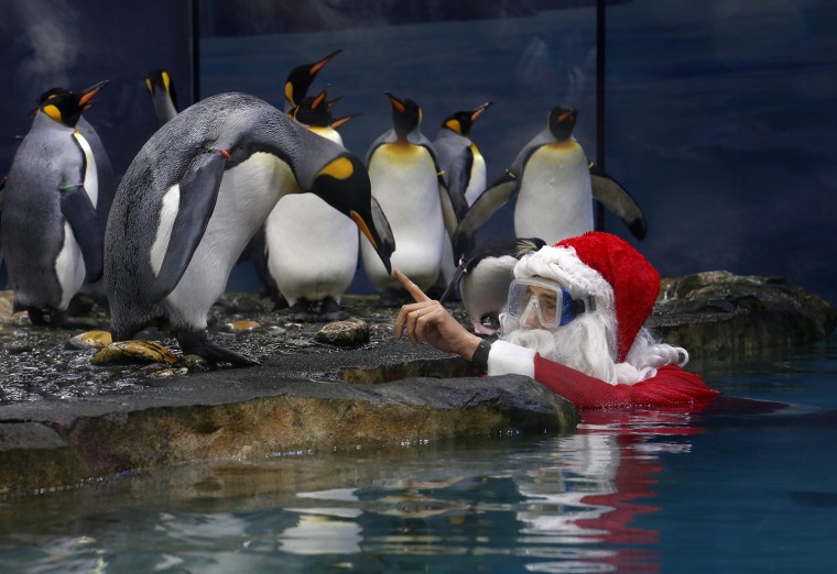 Image: Santa Claus visits animal exhibition park Marineland in Antibes