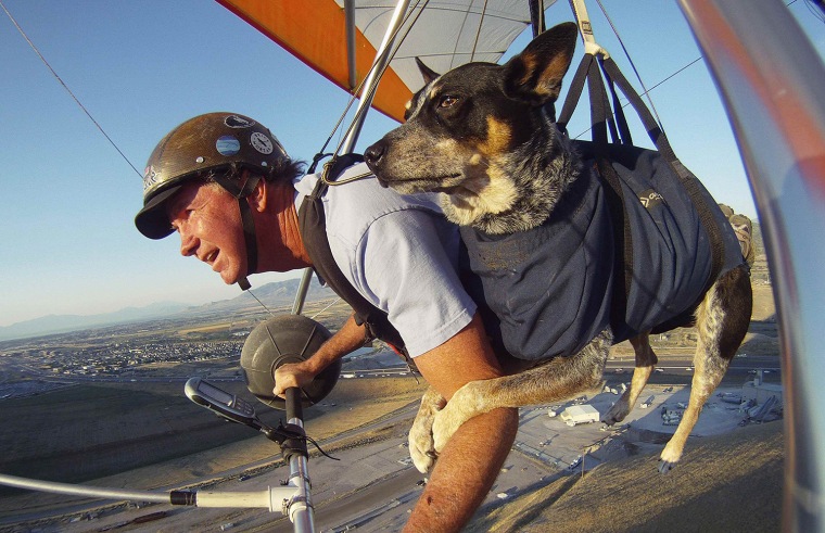 Image: Dan McManus and his service dog Shadow hang glide together outside Salt Lake City, Utah