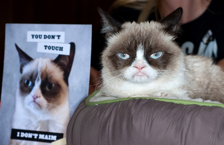 Image: \"Grumpy Cat: A Grumpy Book\" Book Event