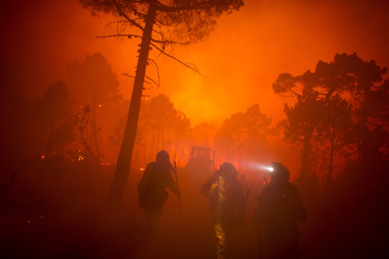 Image: Firefighters walk past trees during a wildfire in Tabuyo del Monte