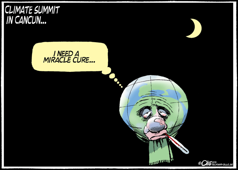 The Week in Political Cartoons