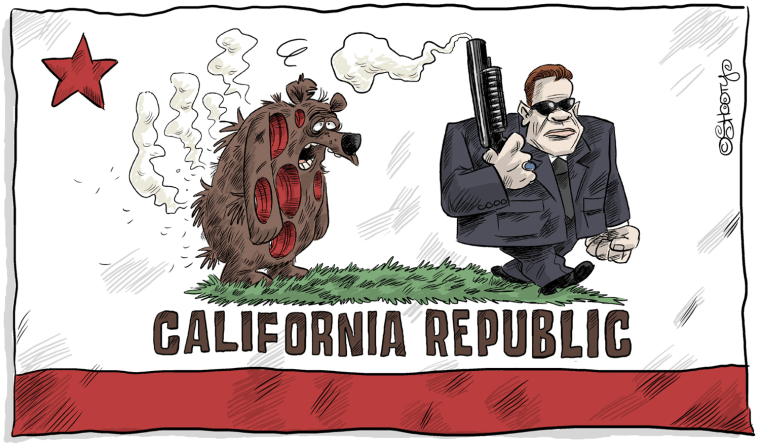 The Week in Political Cartoons