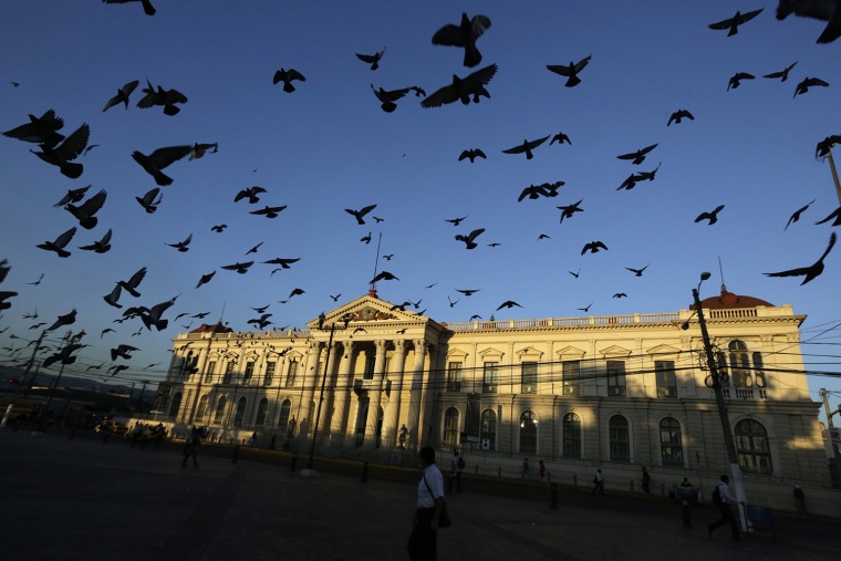 Image: Pigeons fly near the National Palace in San Salvador