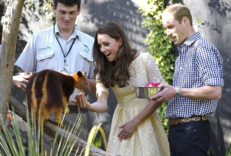Image: Britain's Prince William and Catherine, Duchess of Cambridge, feed a tree kangaroo at Taronga Zoo in Sydney