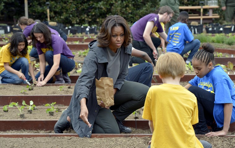 Image: Michelle Obama, Dynasty Meade, Silas Stutz