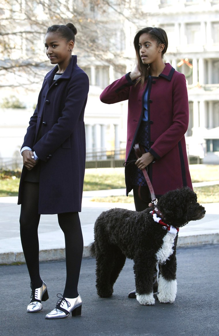 Image: Sasha and Malia Obama are pictured with their family dog Bo as they welcome the official White House Christmas tree at the North Portico of the White House in Washington