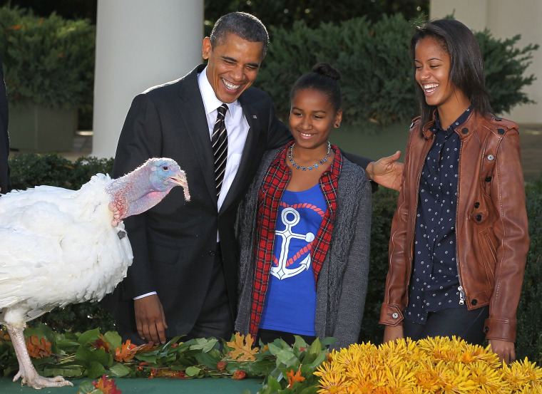Image: President Obama Pardons Thanksgiving Turkey At White House