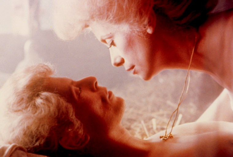 The Hunger (1983) Miriam,(Catherine Deneuve) a beautiful vampire, preys on NYC clubgoers with her vampire lover John.(David Bowie) When John suddenly begins to age rapidly, he seeks out the help of Sarah, an expert on premature aging. However, the insatiable Miriam wants Sarah for herself and seduces her, leaving Sarah with an increasing thirst for blood.