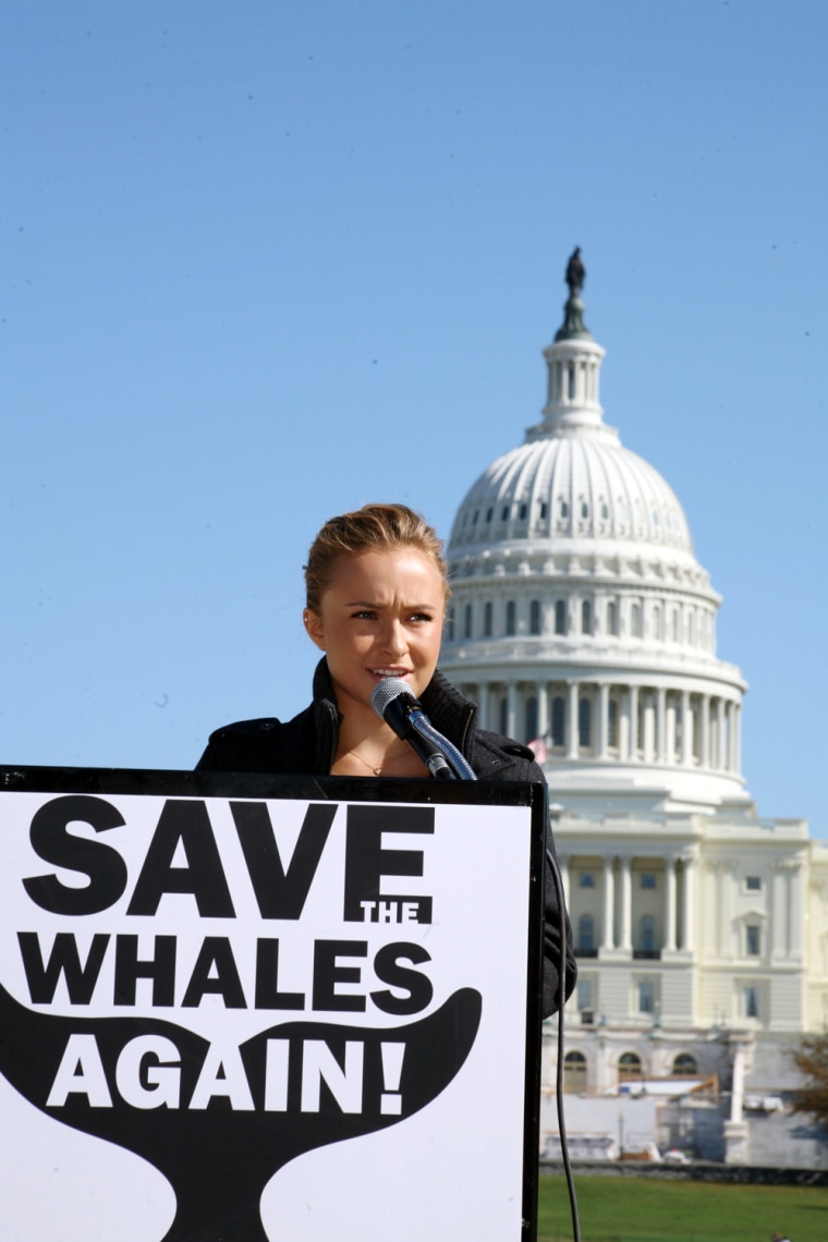Hayden Panettiere Campaigns For ''Save The Whales Again!''